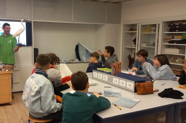 Attività di laboratorio
