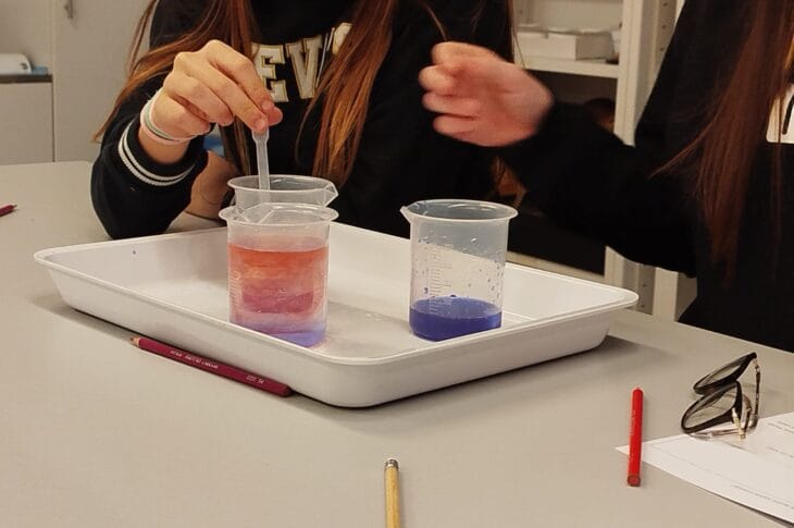 Attività di laboratorio