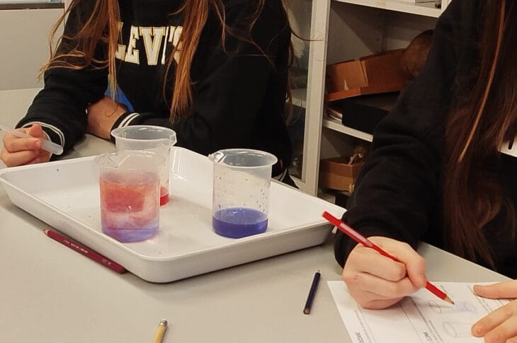 Attività di laboratorio