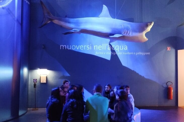 Lezione al Museo